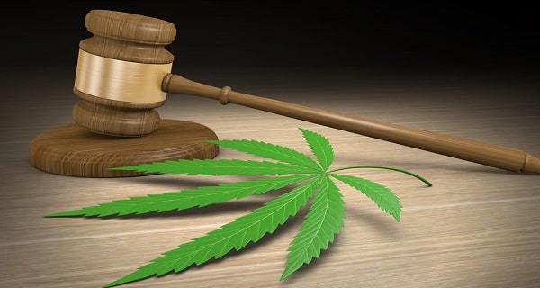 Que dit la loi sur les graines de cannabis ?